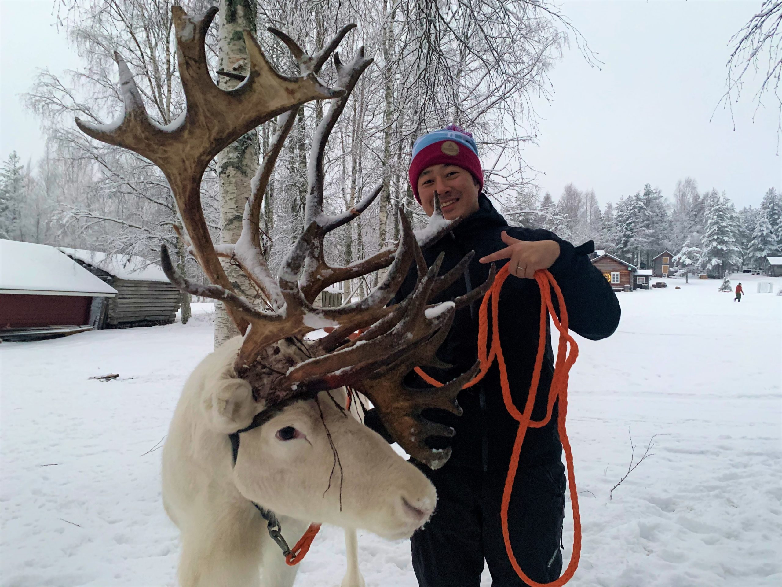 The multicultural company attracts motivated expatriates – What do Finland and Japan have in common?